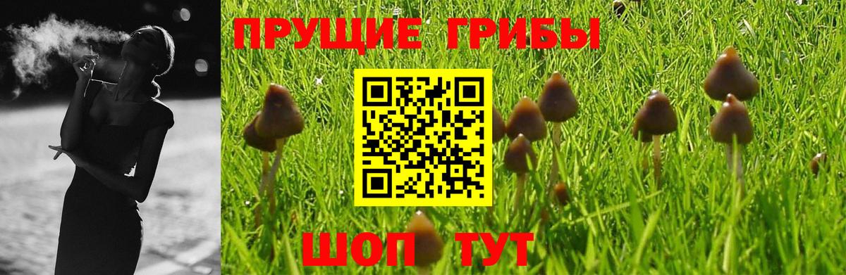 Галлюциногенные грибы Psilocybine cubensis  Вход с VPN  Псков  Галлюциногенные грибы Magic Shrooms 